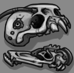 Collection of Alien Skulls