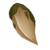 Browscale Icon 001.png