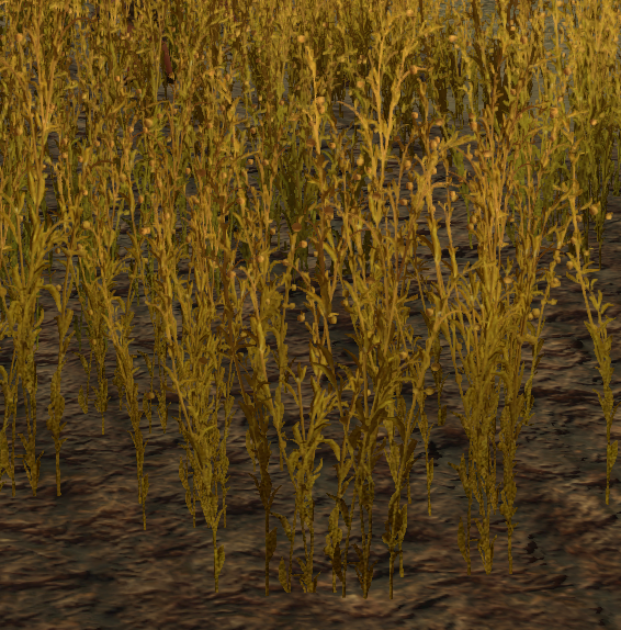 Flax Dawn of Man Wiki