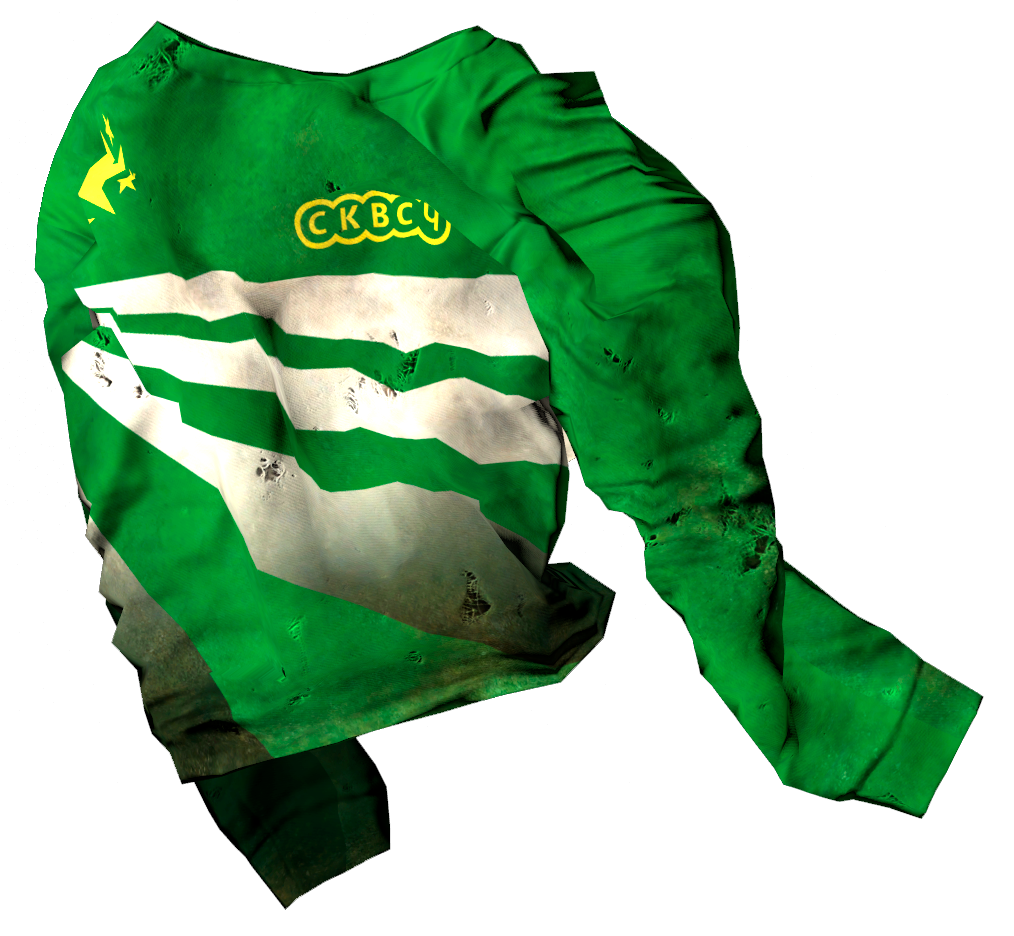 Sports Shirt DayZ Wiki