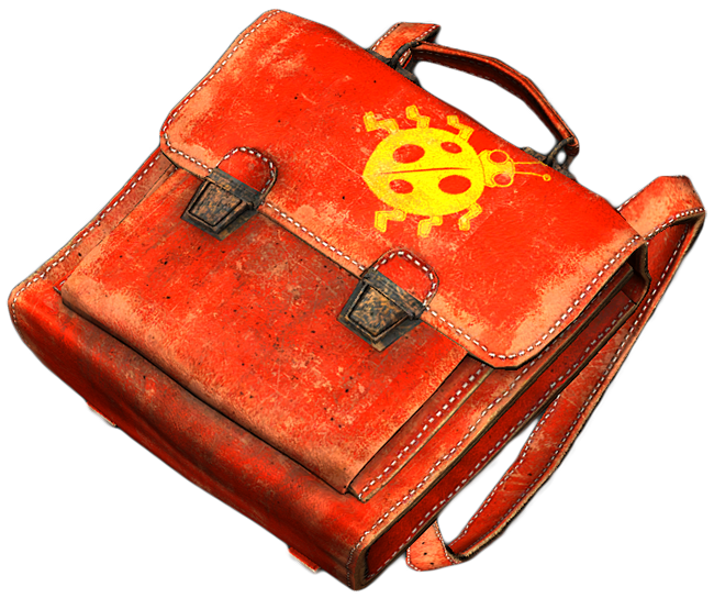 School Backpack DayZ Wiki