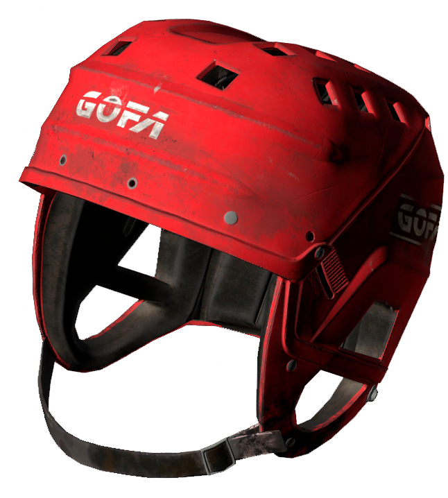 Hockey Helmet DayZ Wiki