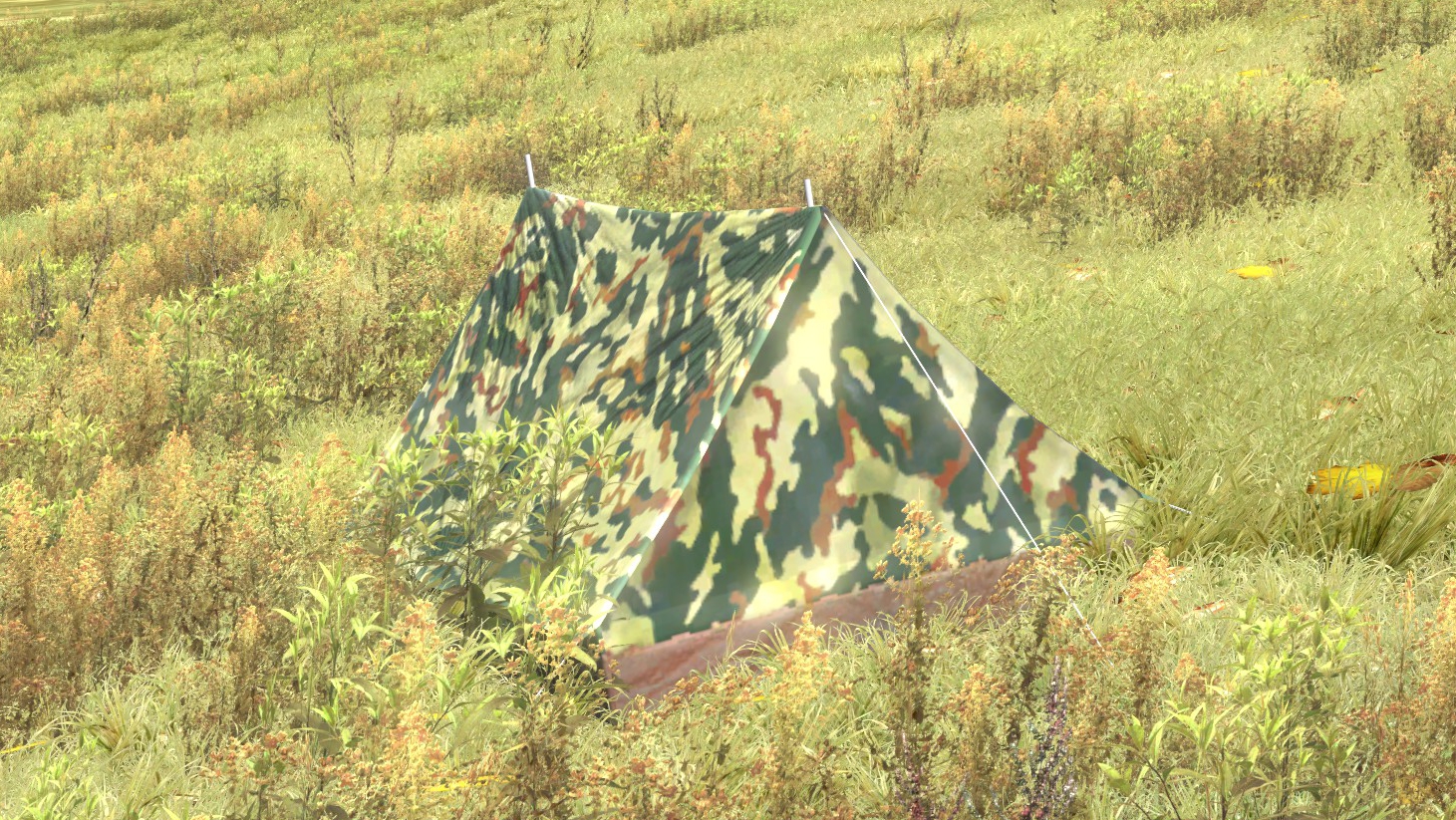 FileTent deployed.jpg DayZ Wiki