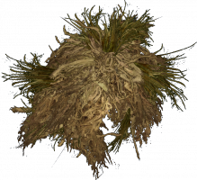 ghillie hood dayz wiki