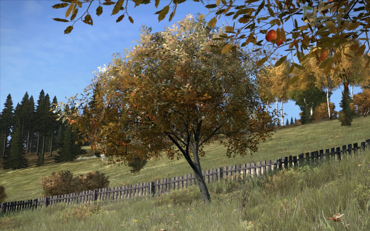 Apple Tree DayZ Wiki