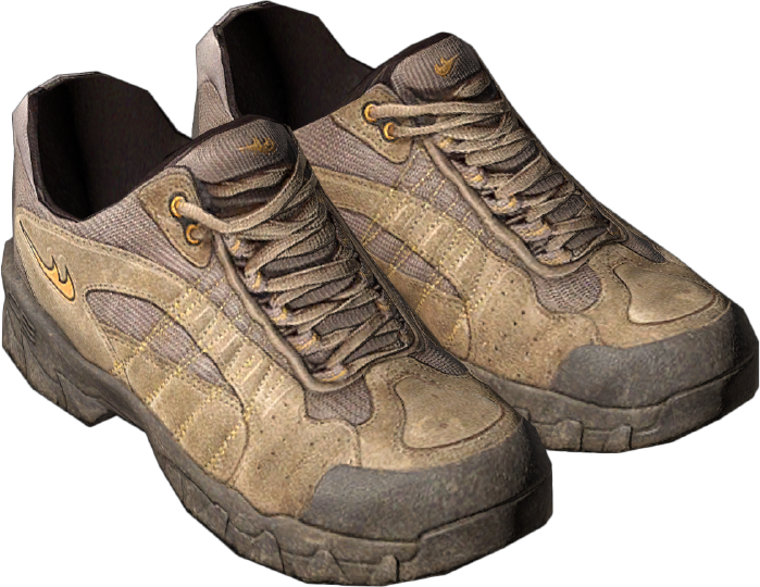 Trail Shoes DayZ Wiki