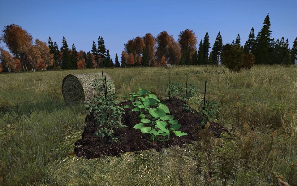 Horticulture DayZ Wiki