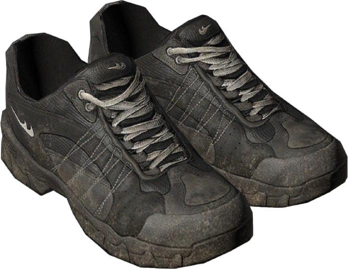 Trail Shoes DayZ Wiki