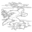 IconPowers feralFrenzy.png