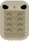 Giant Isopod.png