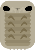 Giant Isopod.png