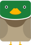 Duck.png