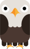 Bald Eagle.png