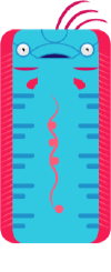 Oarfish.png