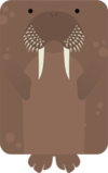 Walrus.png