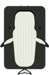 Humpbackwhale.png