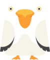 Pelican.png