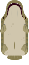 Alligator Gar.png