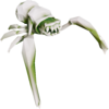 Glyphid Swarmer Radioactive.png