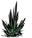 Plant.png