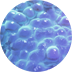 Siltbreaker Giant Amoeboid icon.png