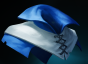 Mantle of Intelligence icon.png