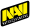 Natus Vincere