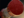 Pudge Wars Earthshaker's Totem icon.png