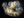 Pudge Wars Tiny's Arm icon.png