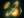 Pudge Wars Reveal icon.png