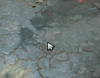 Dota Plus Dota 2 Wiki