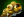 Observer Ward icon.png