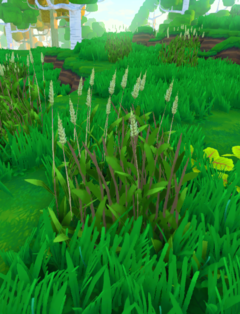 wheat official eco wiki