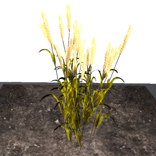 Wheat (Plant) - Official Empyrion: Galactic Survival Wiki