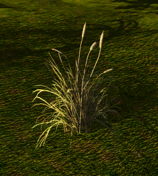 Sugarcane (Plant) Official Empyrion Galactic Survival Wiki