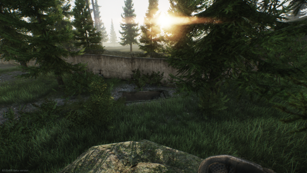 Woods - Escape from Tarkov Wiki