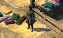 PE2 Well-traveled Supplier.png