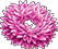 Fairy's Scrunchie Fairy's Scrunchie
