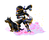 Assassin Shadow