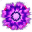 Doll's Eye