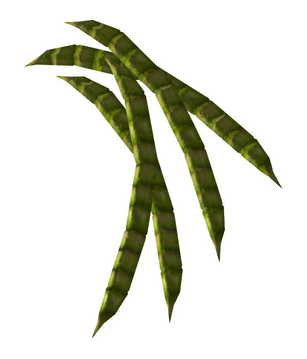 Honey mesquite pod The Vault Fallout Wiki Everything you need to