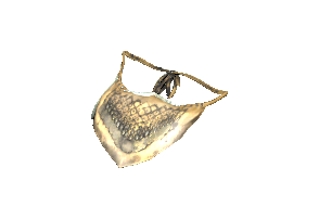 Veil of Secrets - The Vault Fallout Wiki - Everything you need to know