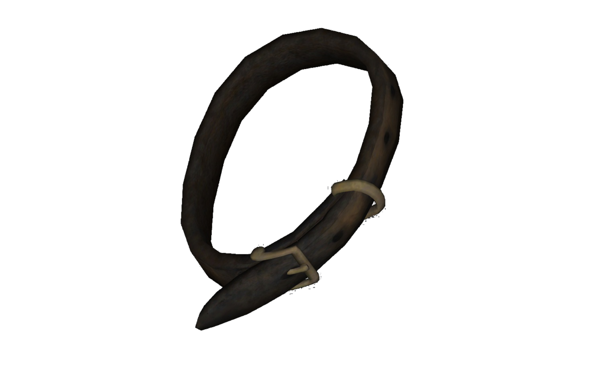 Dog collar The Vault Fallout Wiki Everything you need to know about