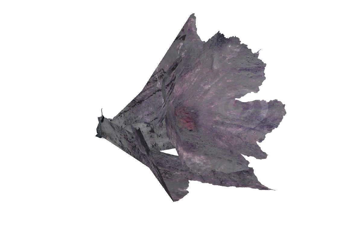 Ash blossom The Vault Fallout Wiki Everything you need to know