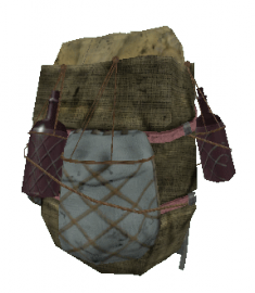 slave backpack the vault
