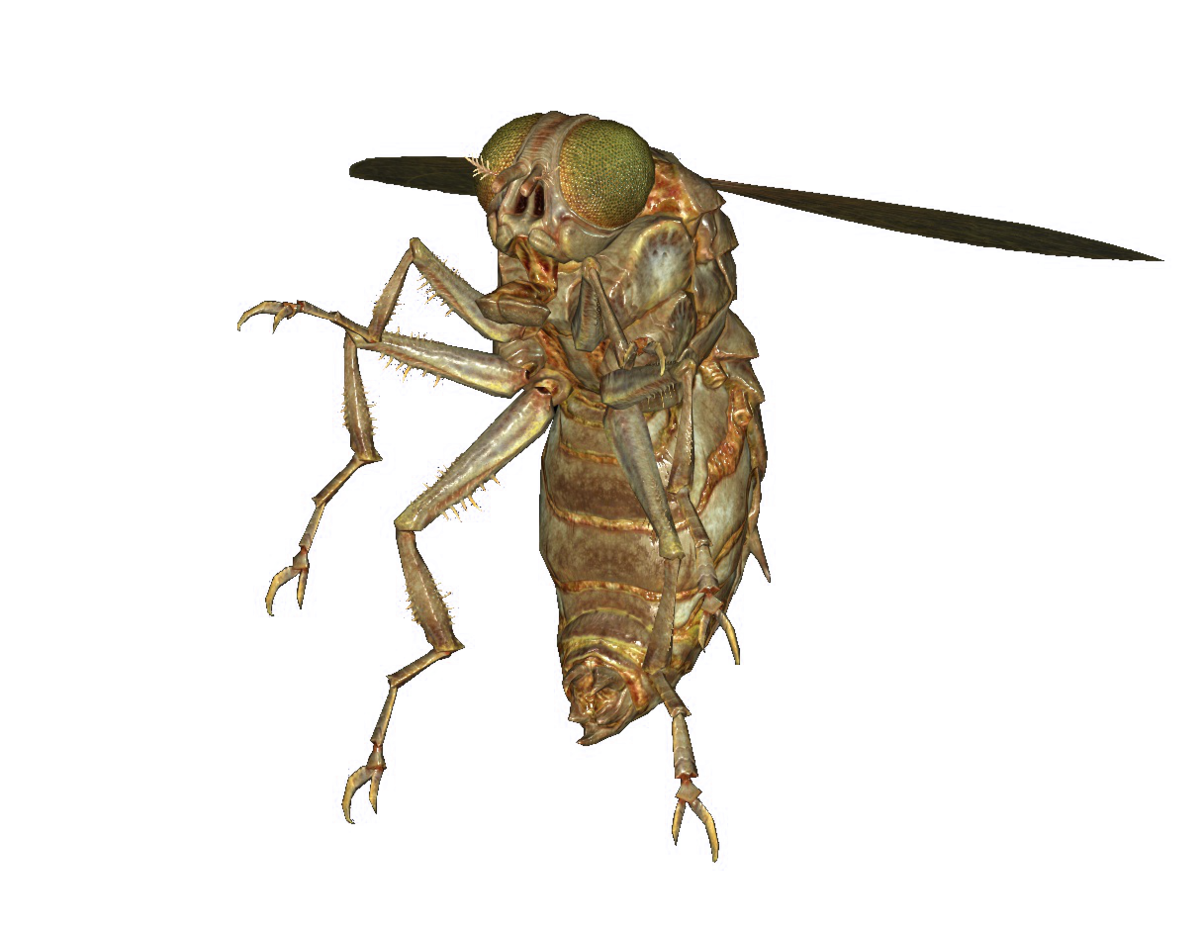 Festering bloatfly (Fallout 76) The Vault Fallout Wiki Everything