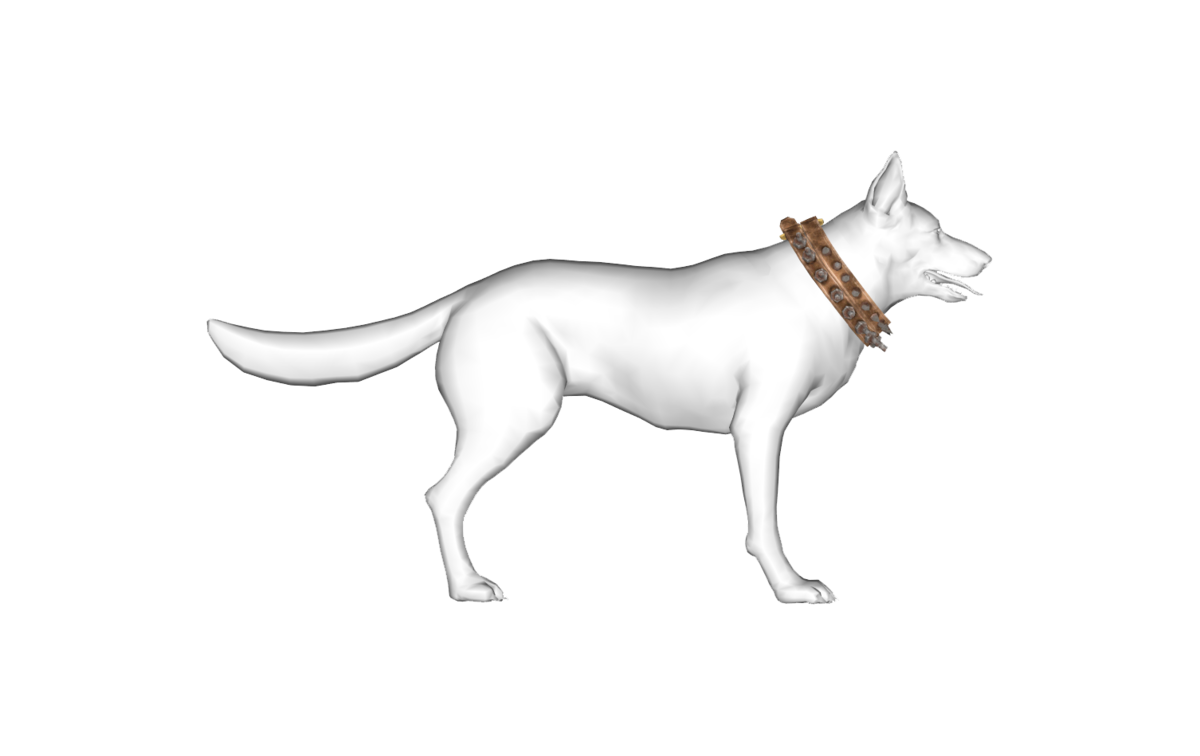 Double dog collar The Vault Fallout Wiki Everything you need to