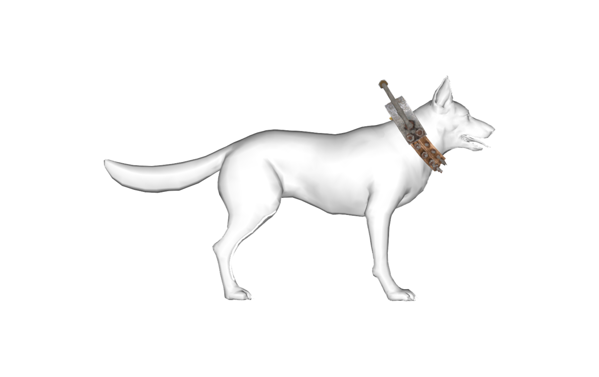 Reinforced dog collar The Vault Fallout Wiki Everything you need to