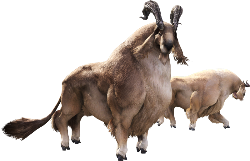 Aldgoat Final Fantasy XIV A Realm Reborn (FFXIV) Wiki