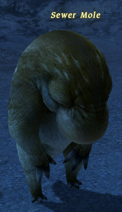Sewer Mole - Final Fantasy XIV: A Realm Reborn (FFXIV) Wiki